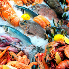 Рыба и морепродукты - Рыбная, мясная продукция Рыба и морепродукты - Рыбная, мясная продукция